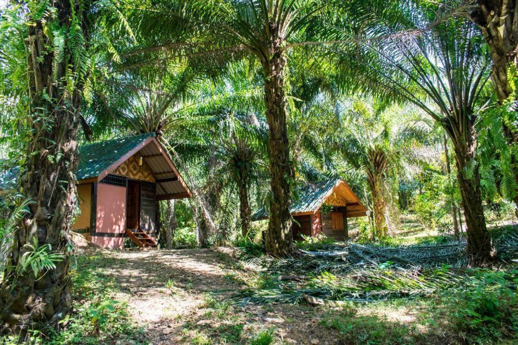 Khao Sok Silver Cliff Resort Khao Sok National Park Exterior foto