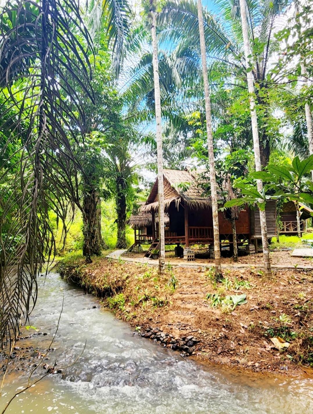 Khao Sok Silver Cliff Resort Khao Sok National Park Habitación foto