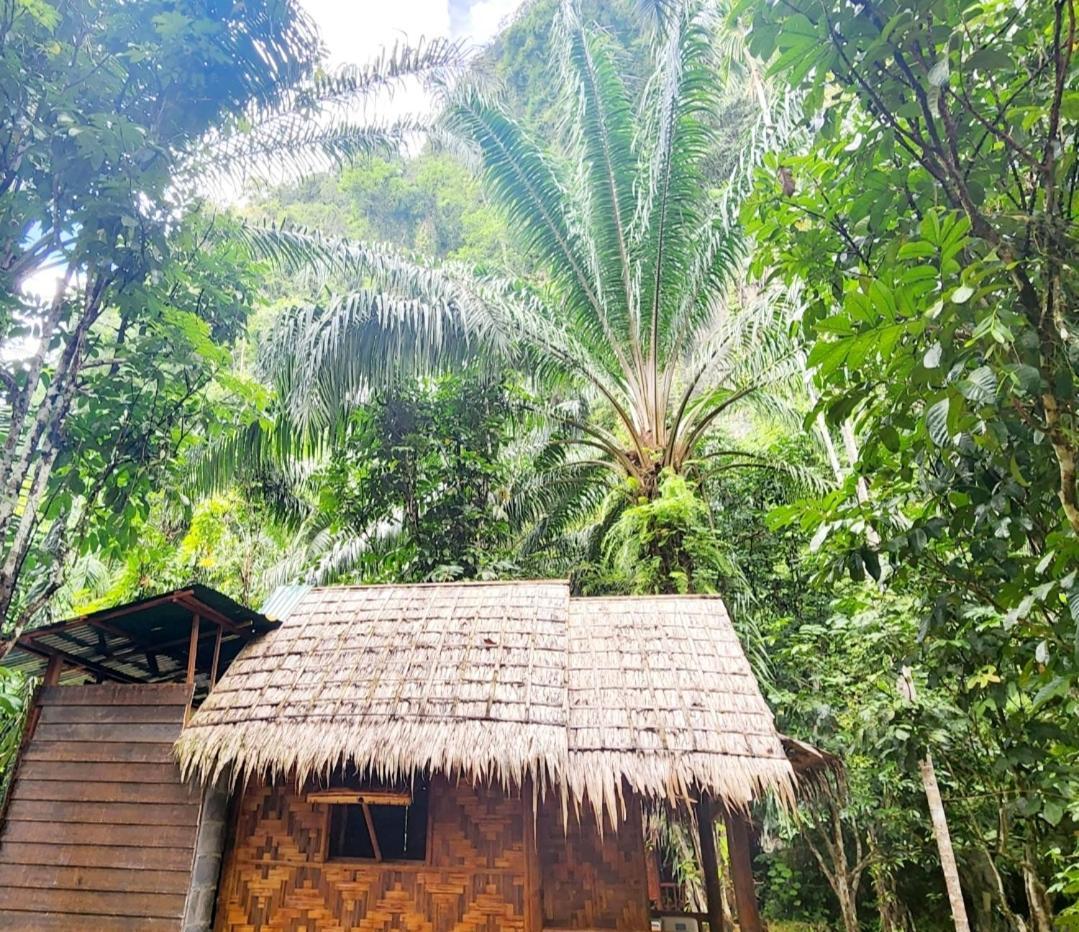 Khao Sok Silver Cliff Resort Khao Sok National Park Habitación foto