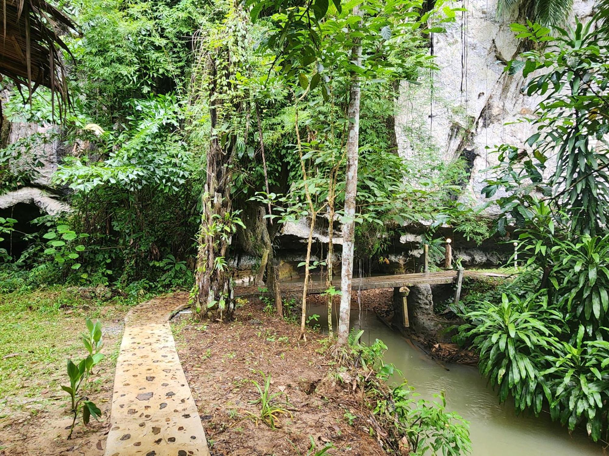 Khao Sok Silver Cliff Resort Khao Sok National Park Habitación foto