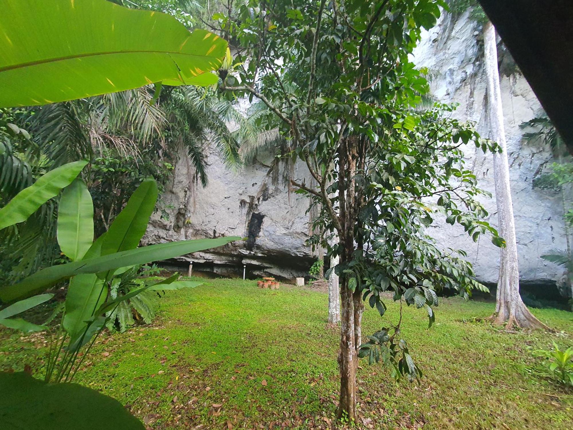 Khao Sok Silver Cliff Resort Khao Sok National Park Habitación foto